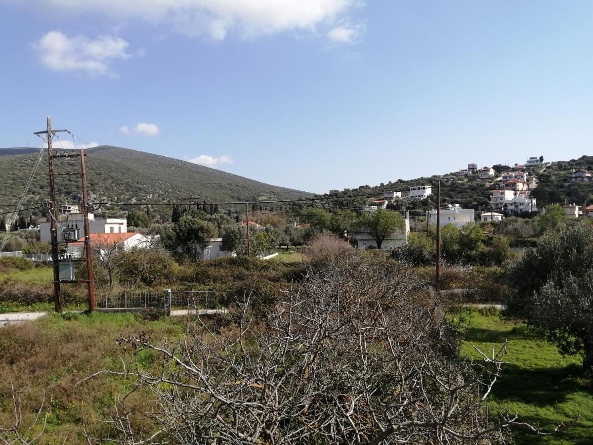 Appartamento Almira Ghouse Almiropótamos Esterno foto